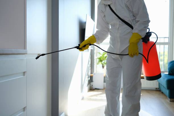 Best Certified Mold Removal  in Oak Hills Pce, LA